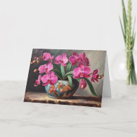 Roze Orchidee Bloem Plant Stilleven