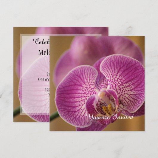 Roze Orchidee Bloem Verjaardag Kaart (Voorkant / Achterkant)