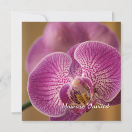 Roze Orchidee Bloem Verjaardag Kaart