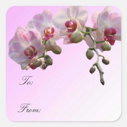 roze orchidee bloemen, etiketten met kerstcadeautj (Voorkant)