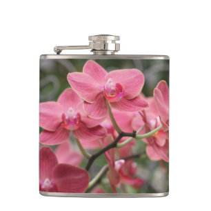Roze orchidee bloemen heupfles