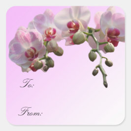 roze orchidee bloemen, kerstcadeau verpakkingslabe vierkante sticker