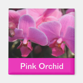 roze orchidee bloemen magneet