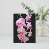 Roze orchidee briefkaart (Staand voorkant)