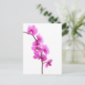 "Roze orchidee" Briefkaart (Staand voorkant)