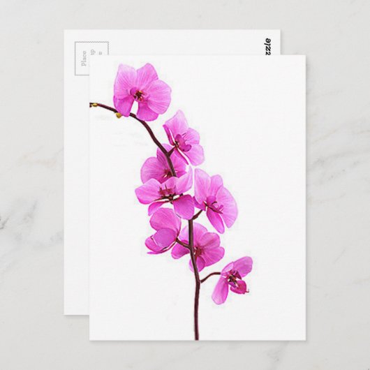 "Roze orchidee" Briefkaart (Voorkant / Achterkant)