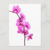 "Roze orchidee" Briefkaart (Voorkant)
