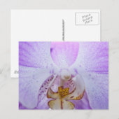 Roze Orchidee Briefkaart (Voorkant / Achterkant)