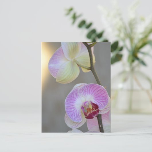 Roze orchidee Briefkaart (Staand voorkant)