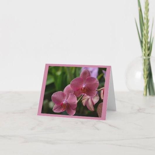 Roze Orchidee Briefkaart (Voorkant)