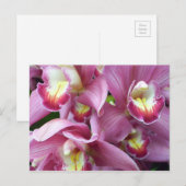 Roze orchidee Briefkaart (Voorkant / Achterkant)