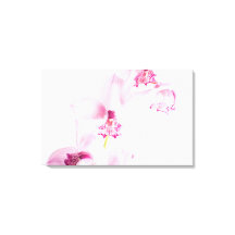 Roze orchidee