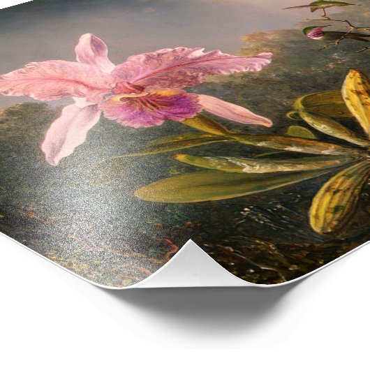 Roze orchidee en drie handvogels afdrukken foto afdruk (Hoek)