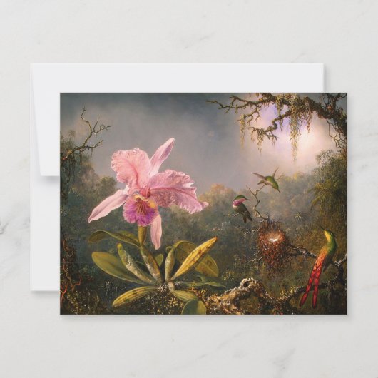 Roze orchidee en drie Hummingvogels Invitatie Kaart (Voorkant)