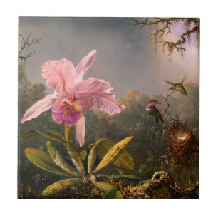 Roze orchidee en drie levende kalveren tegeltje