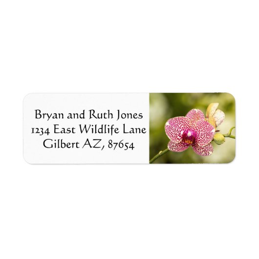 Roze orchidee etiket (Voorkant)