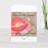 Roze Orchidee Expressiekaart Kaart (Achterkant)