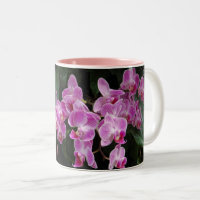 Roze orchidee-Floral fotografie