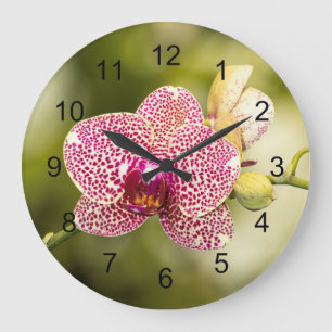 Roze orchidee grote klok
