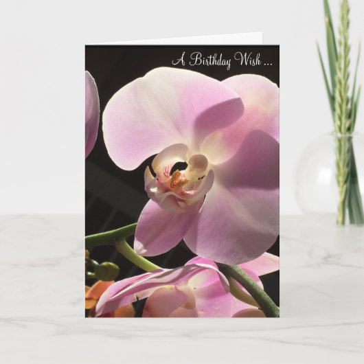 Roze orchidee Happy Birthday-kaart Kaart (Voorkant)