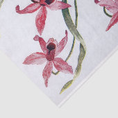 roze orchidee-illustratie tissuepapier (Detail)