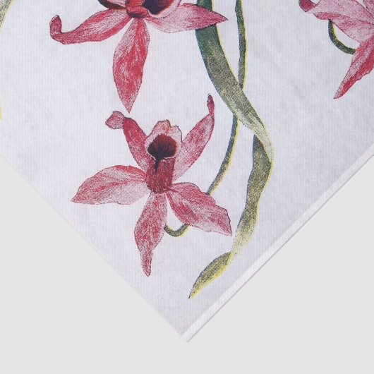  roze orchidee-illustratie tissuepapier (Detail)