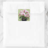 Roze Orchidee Impasto Kunstwerk Vierkante Sticker (Tas)