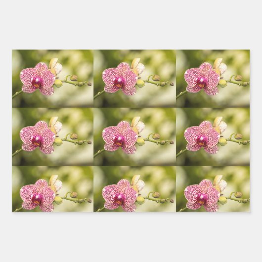 Roze orchidee inpakpapier vel (Voorkant 2)