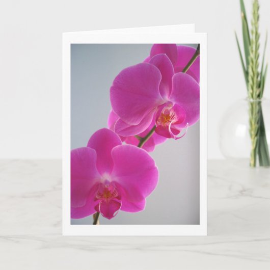 Roze Orchidee Kaart (Voorkant)