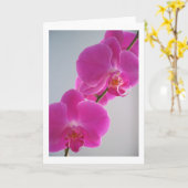 Roze Orchidee Kaart (Gele Bloem)