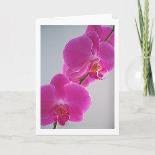 Roze Orchidee Kaart