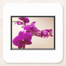 Roze orchidee