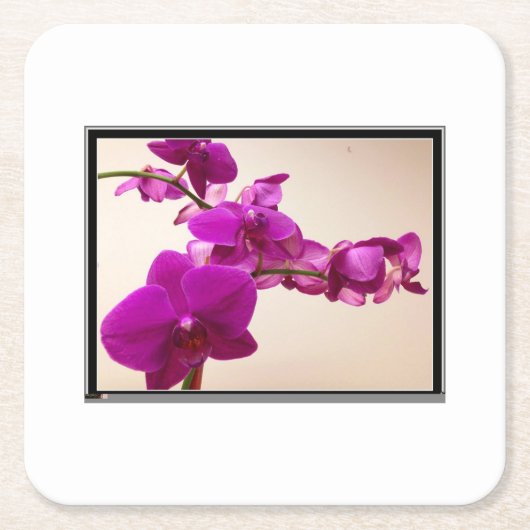 Roze orchidee kartonnen onderzetters (Voorkant)