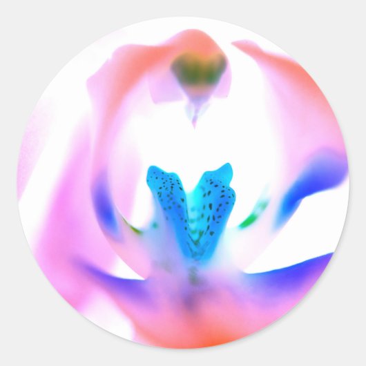 Roze orchidee klassieke ronde Stickers (Voorkant)
