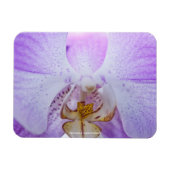 Roze Orchidee Magneet (Horizontaal)