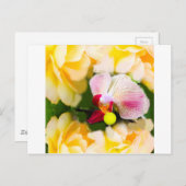 Roze orchidee met tennisbal briefkaart (Voorkant / Achterkant)