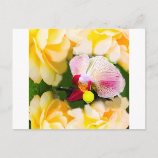 Roze orchidee met tennisbal briefkaart (Voorkant)