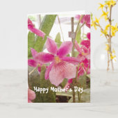 Roze orchidee Moederdag Kaart (Gele Bloem)