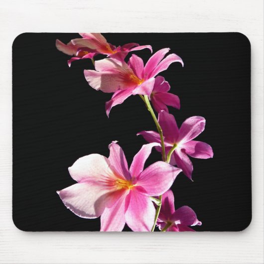 Roze orchidee. muismat (Voorkant)