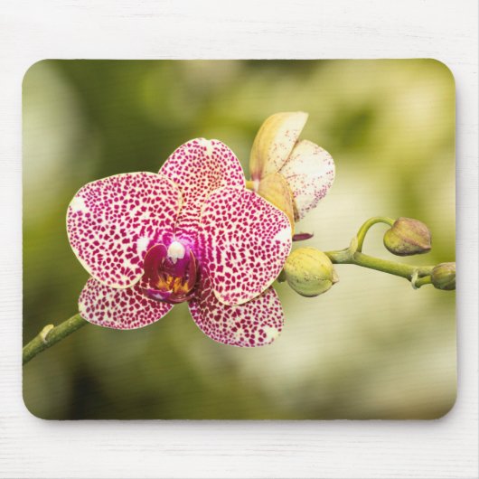 Roze orchidee muismat (Voorkant)