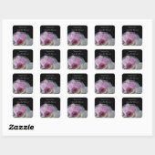 Roze orchidee op de zwarte bruiloft vierkante sticker (Vel)