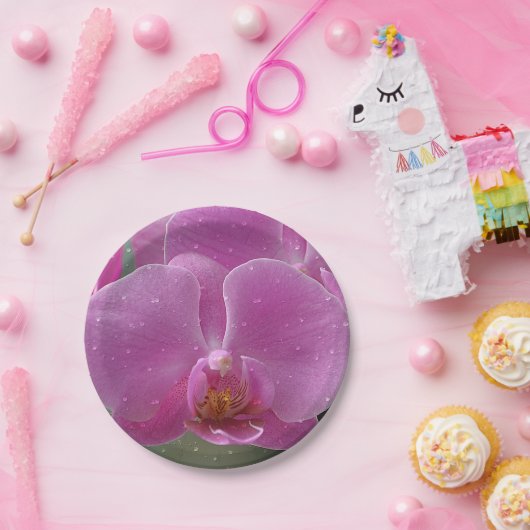 Roze orchidee papier Bord (Feest)