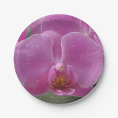 Roze orchidee papier Bord (Voorkant)