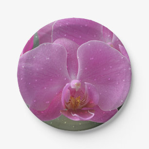 Roze orchidee papier Bord