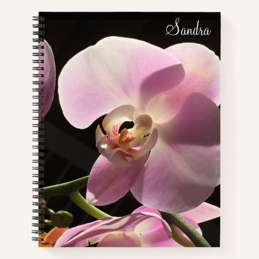 Roze Orchidee Persoonlijk Spiraal Notitieboek (Voorkant)