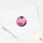 Roze orchidee Phalaenopsis Ronde Sticker (Envelop)