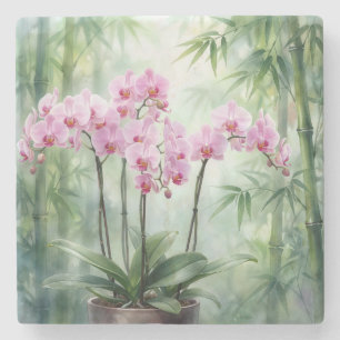 Roze Orchidee Plant op Bamboe Achtergrond Stenen Onderzetter