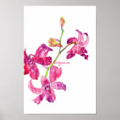 Roze, orchidee Poster (Voorkant)
