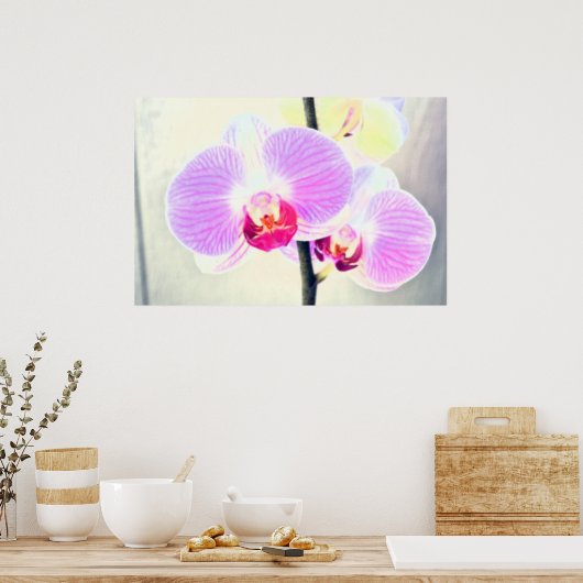 Roze orchidee Poster (Keuken)