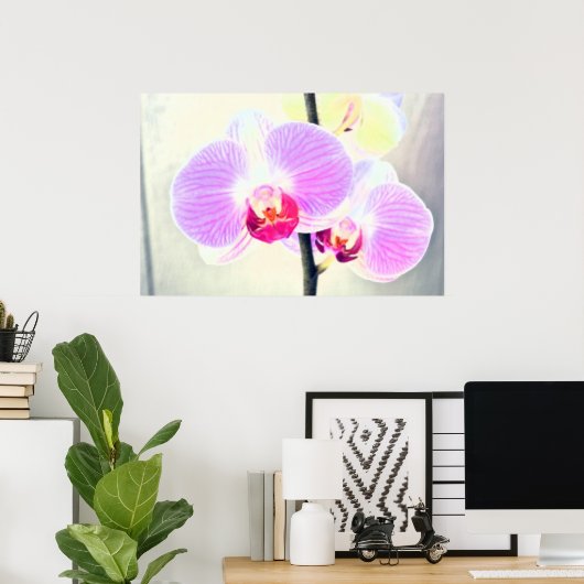 Roze orchidee Poster (Thuiskantoor)